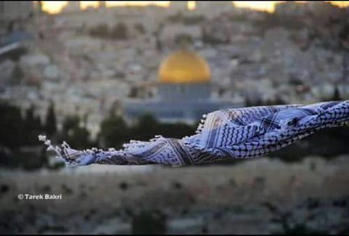 « Notre programme est simple : nous voulons la Palestine du fleuve à la mer »